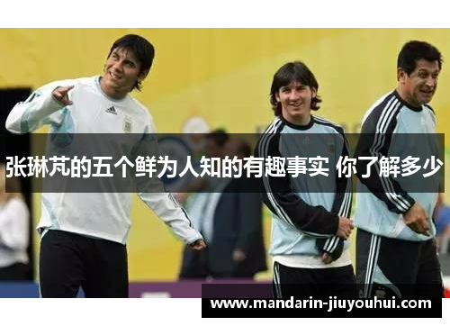 张琳芃的五个鲜为人知的有趣事实 你了解多少 张琳芃的五个鲜为人知的有趣事实 你了解多少