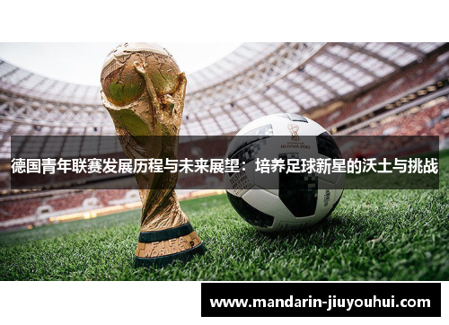 德国青年联赛发展历程与未来展望：培养足球新星的沃土与挑战