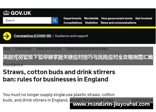 英超或将暂按下暂停键掌握关键应对技巧与风险应对全攻略指南汇编 英超或将暂按下暂停键掌握关键应对技巧与风险应对全攻略指南汇编