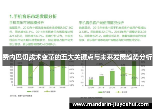 费内巴切战术变革的五大关键点与未来发展趋势分析 费内巴切战术变革的五大关键点与未来发展趋势分析